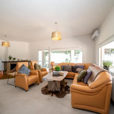 Βίλα Aionia In Lepeda *